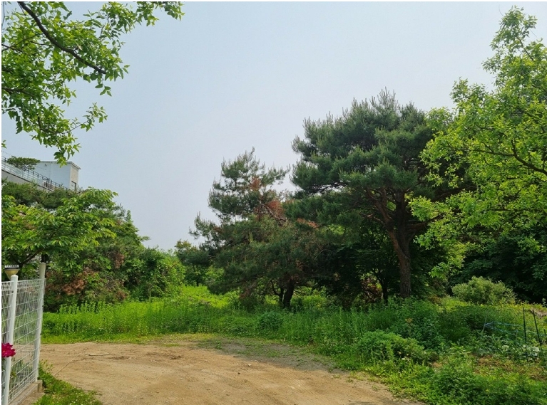 경기 용인시 처인구 모현읍 동림리 315 외 8필지 단독주택 경매 사진 9