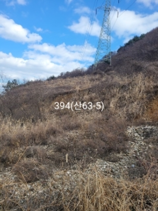 부산광역시 기장군 정관읍 달산리 419-1 외 2필지 전 경매 사진 2