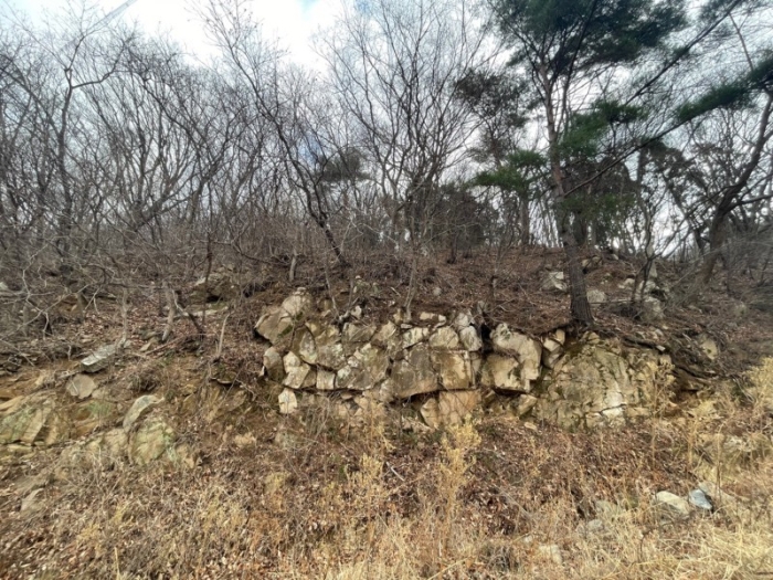 부산광역시 기장군 정관읍 달산리 419-1 외 2필지 전 경매 사진 9