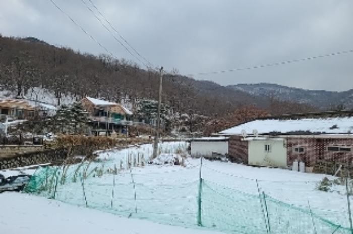 인천광역시 강화군 하점면 삼거리 924-37 외 2필지 임야 경매 사진 5