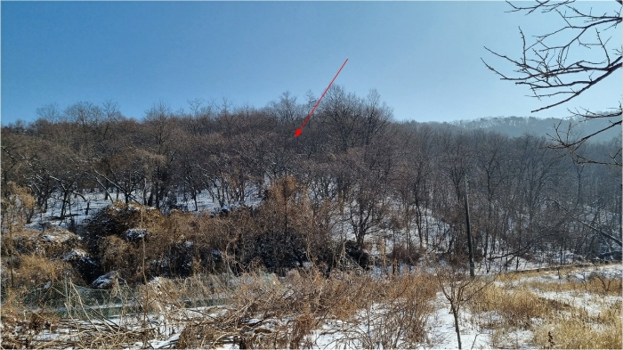 인천광역시 강화군 하점면 삼거리 924-37 외 2필지 임야 경매 사진 8