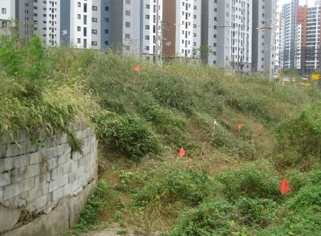 광주광역시 북구 용두동 513-2 대지 경매 사진 37