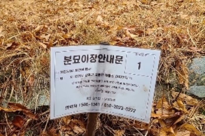 인천광역시 강화군 교동면 대룡리 722-4 외 2필지 임야 경매 사진 4