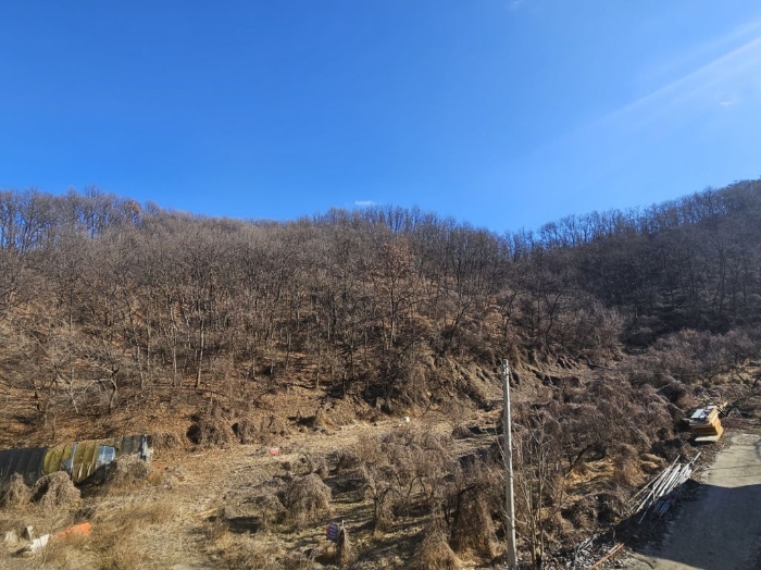 충청북도 충주시 주덕읍 신양리 산10 외 2필지 임야 경매 사진 4