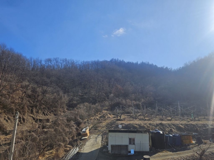 충청북도 충주시 주덕읍 신양리 산10 외 2필지 임야 경매 사진 5