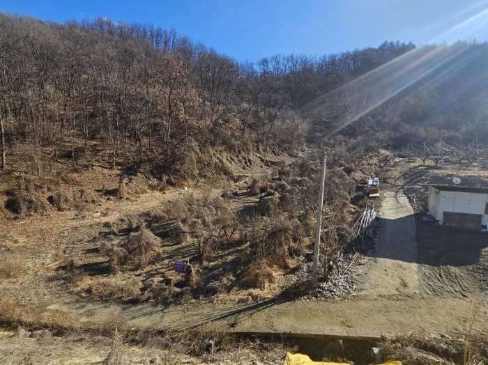 충청북도 충주시 주덕읍 신양리 산10 외 2필지 임야 경매 사진 6