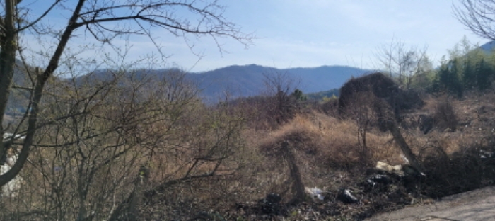 경상북도 칠곡군 가산면 다부리 471 전 경매 사진 4