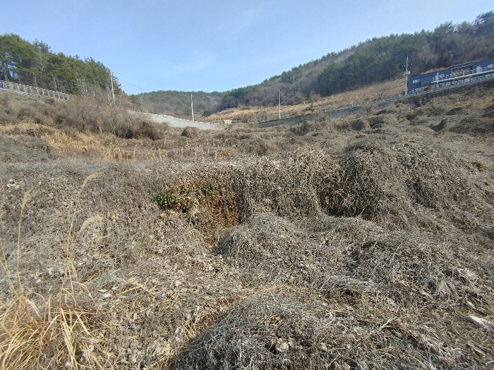 경상남도 통영시 산양읍 연화리 159 외 14필지 양어장 경매 사진 36
