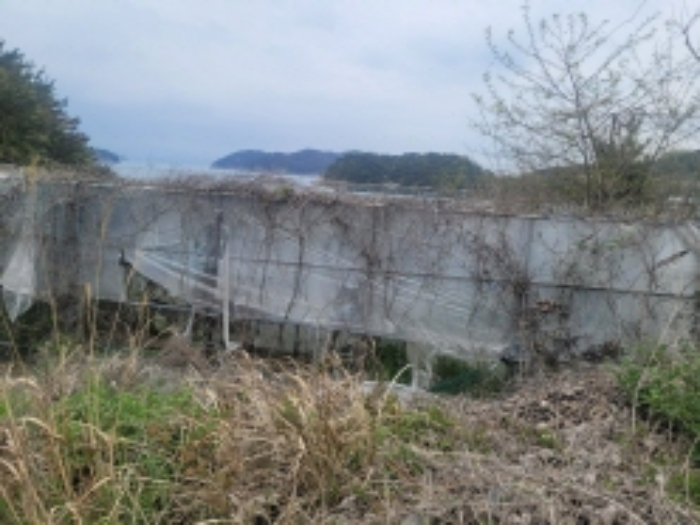 경상남도 통영시 산양읍 연화리 159 외 14필지 양어장 경매 사진 8