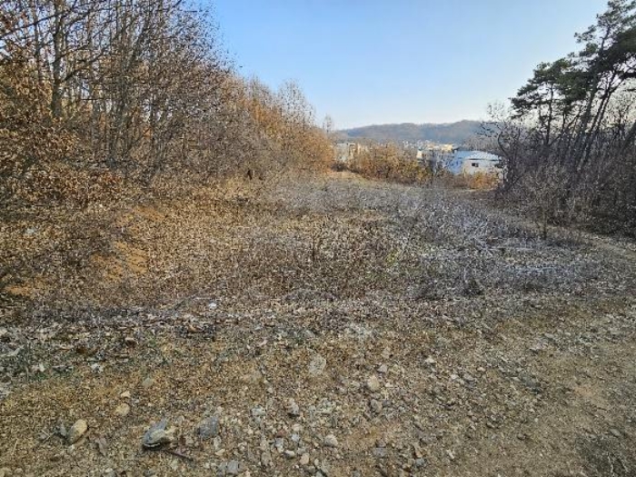경기도 이천시 신둔면 용면리 176 외 2필지 전 경매 사진 1