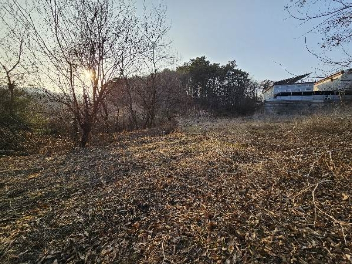 경기도 이천시 신둔면 용면리 176 외 2필지 전 경매 사진 6