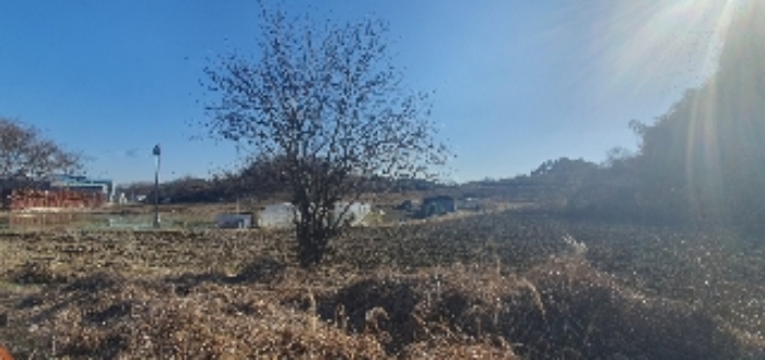 경상남도 함안군 칠서면 계내리 427-3 전 경매 사진 20
