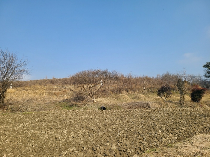 경상남도 함안군 칠서면 계내리 427-3 전 경매 사진 29