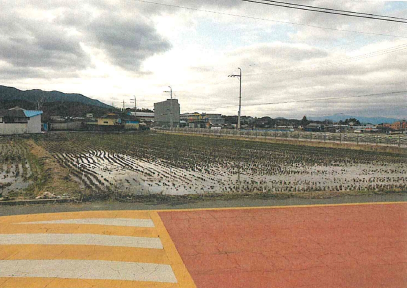 경상남도 함안군 군북면 덕대리 87 답 경매 사진 6