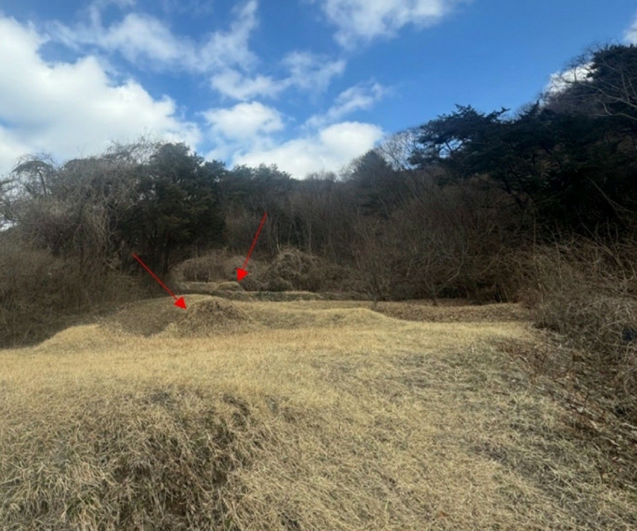 경기도 양평군 강하면 동오리 270-3 답 경매 사진 1