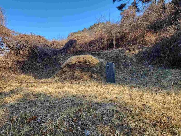 경기도 양평군 강하면 동오리 270-3 답 경매 사진 4