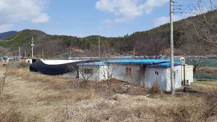 경상북도 경주시 안강읍 하곡리 404 외 1필지 전 경매 사진 9