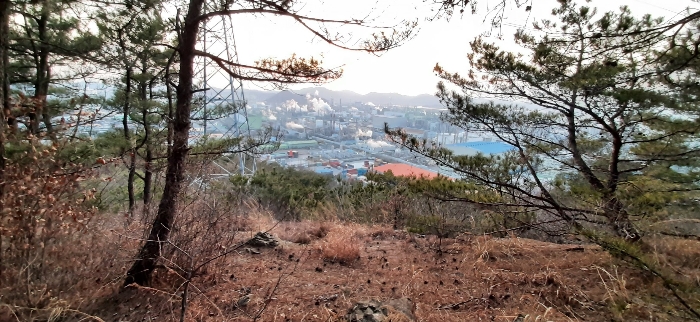 전라남도 여수시 중흥동 산172 임야 경매 사진 10
