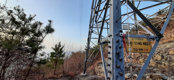 전라남도 여수시 중흥동 산172 임야 경매 사진 13