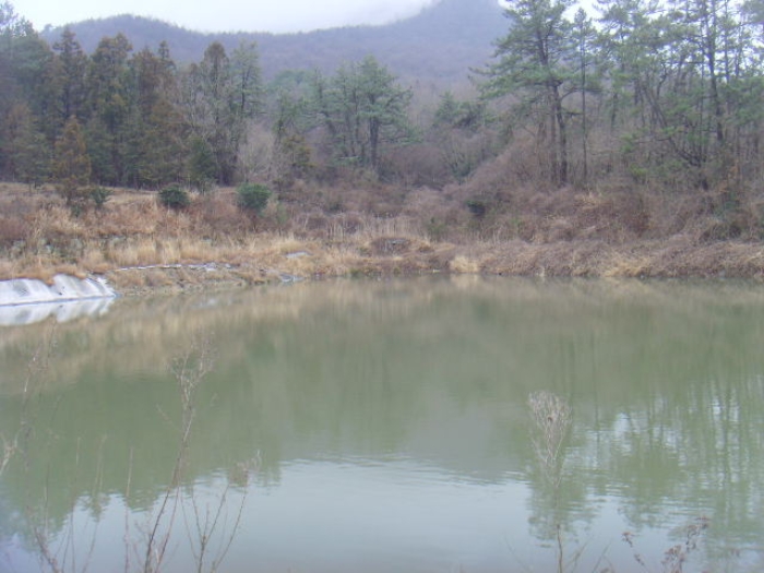 전라남도 해남군 현산면 월송리 1380-1 외 5필지 답 경매 사진 2