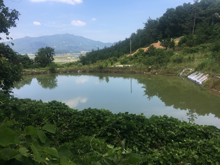 전라남도 해남군 현산면 월송리 1380-1 외 5필지 답 경매 사진 14