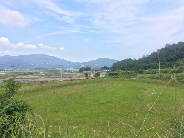 전라남도 해남군 현산면 월송리 1380-1 외 5필지 답 경매 사진 18