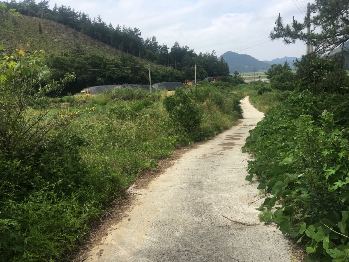 전라남도 해남군 현산면 월송리 1380-1 외 5필지 답 경매 사진 22