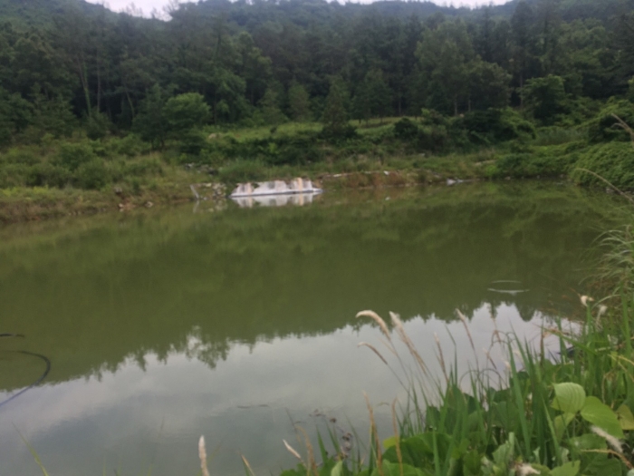 전라남도 해남군 현산면 월송리 1380-1 외 5필지 답 경매 사진 27