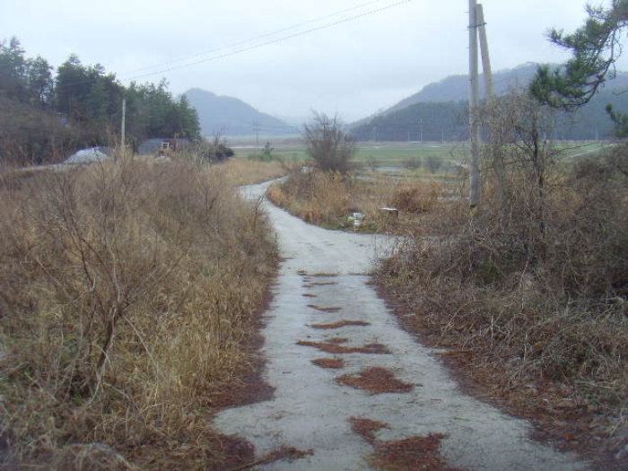 전라남도 해남군 현산면 월송리 1380-1 외 5필지 답 경매 사진 7