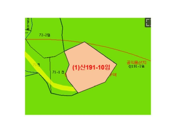 강원특별자치도 원주시 태장동 산191-10 임야 경매 사진 43