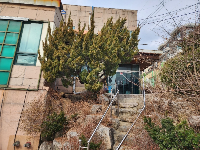 서울특별시 종로구 평창동 110-1 근린생활시설 경매 사진 13