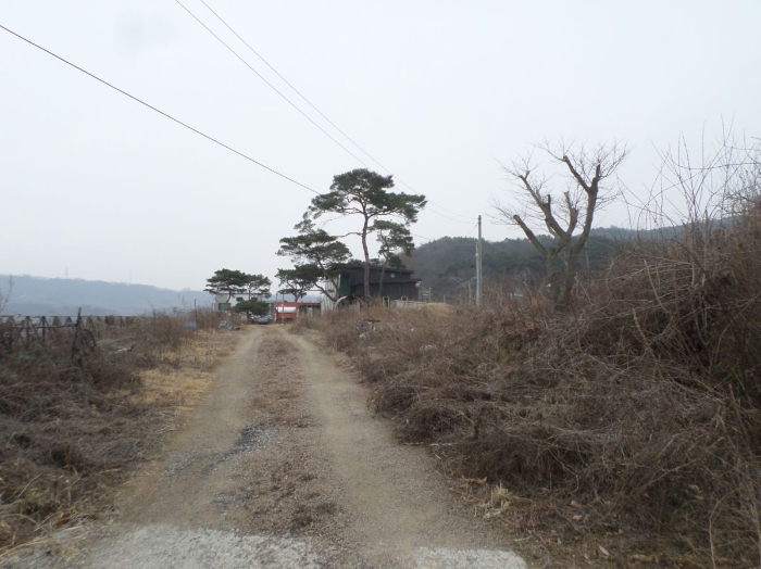 충청북도 충주시 앙성면 조천리 46-2 외 1필지 단독주택 경매 사진 12