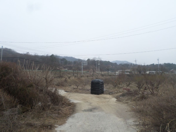 충청북도 충주시 앙성면 조천리 46-2 외 1필지 단독주택 경매 사진 19