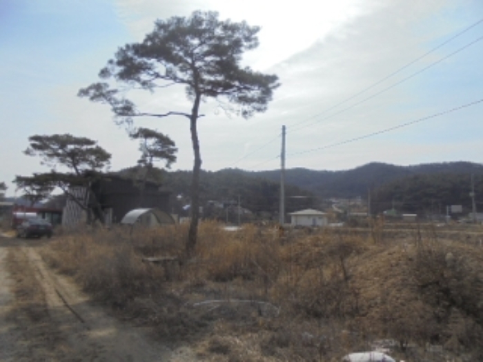 충청북도 충주시 앙성면 조천리 46-2 외 1필지 단독주택 경매 사진 5
