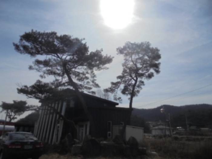 충청북도 충주시 앙성면 조천리 46-2 외 1필지 단독주택 경매 사진 7