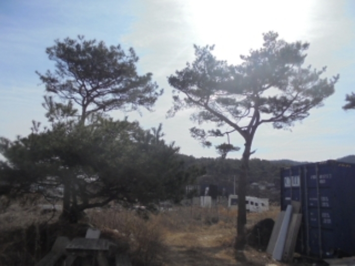 충청북도 충주시 앙성면 조천리 46-2 외 1필지 단독주택 경매 사진 9