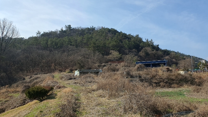 전라남도 화순군 도곡면 대곡리 산71-5 임야 경매 사진 29