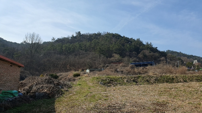 전라남도 화순군 도곡면 대곡리 산71-5 임야 경매 사진 24