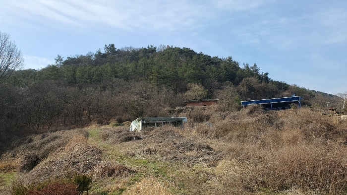 전라남도 화순군 도곡면 대곡리 산71-5 임야 경매 사진 25