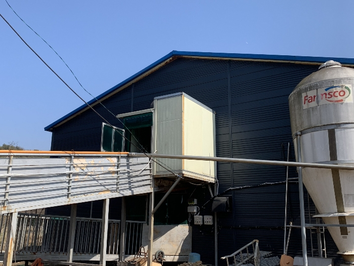 인천광역시 옹진군 영흥면 외리 210 외 12필지 동물및식물관련시설 경매 사진 38
