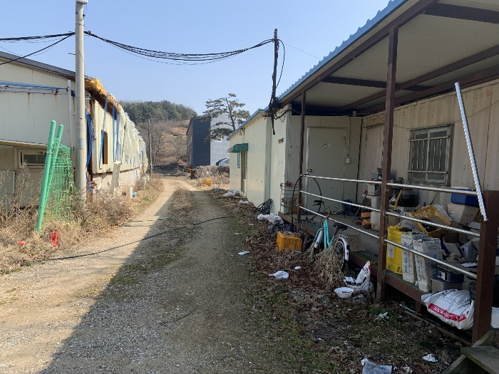 인천광역시 옹진군 영흥면 외리 210 외 12필지 동물및식물관련시설 경매 사진 41