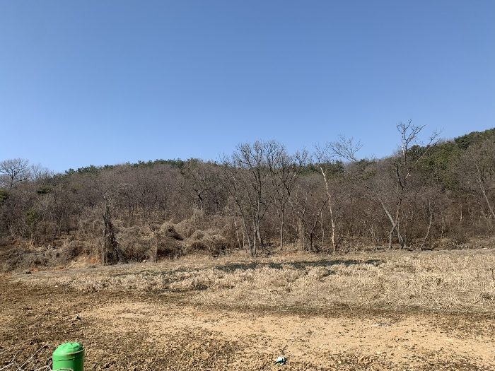인천광역시 옹진군 영흥면 외리 210 외 12필지 동물및식물관련시설 경매 사진 43
