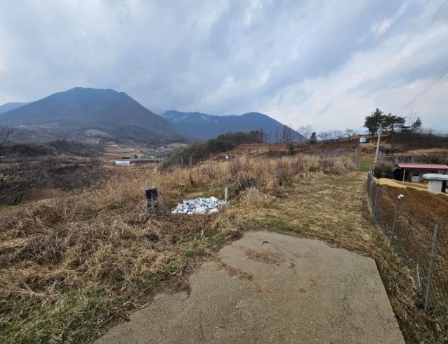 경상북도 문경시 마성면 모곡리 256 전 경매 사진 6