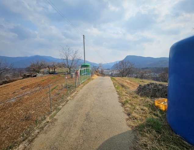 경상북도 문경시 마성면 모곡리 256 전 경매 사진 8