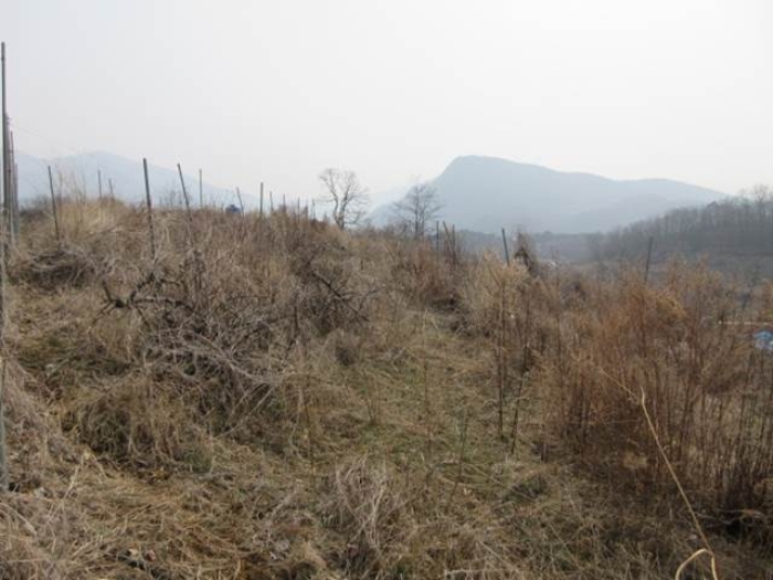 경상북도 문경시 마성면 모곡리 256 전 경매 사진 9