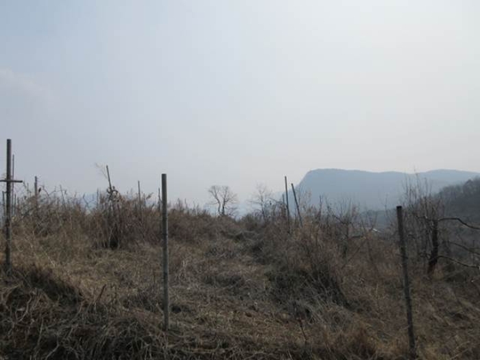 경상북도 문경시 마성면 모곡리 256 전 경매 사진 10