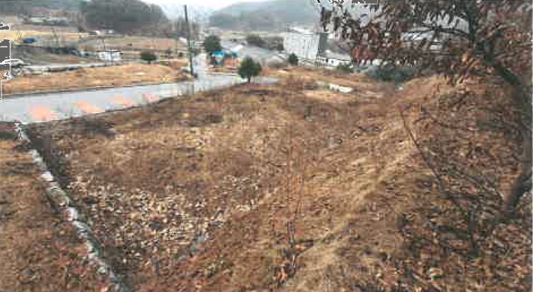 강원특별자치도 원주시 지정면 가곡리 1033-26 외 20필지 임야 경매 사진 4