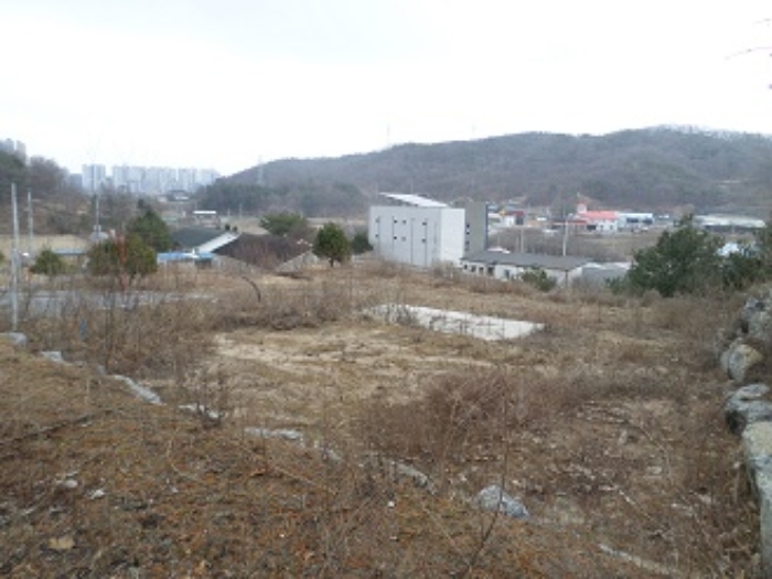 강원특별자치도 원주시 지정면 가곡리 1033-26 외 20필지 임야 경매 사진 31