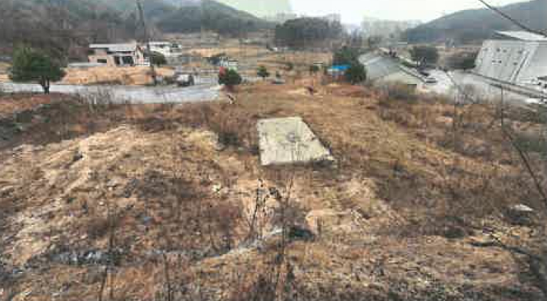 강원특별자치도 원주시 지정면 가곡리 1033-26 외 20필지 임야 경매 사진 5