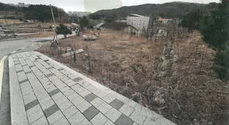 강원특별자치도 원주시 지정면 가곡리 1033-26 외 20필지 임야 경매 사진 8